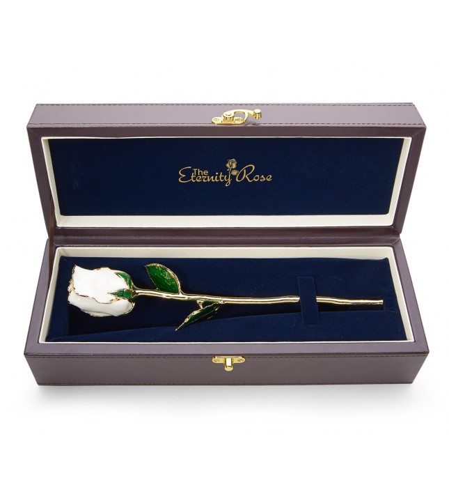 White Tight Bud Glazed Rose Trimmed with 24K Gold 12"