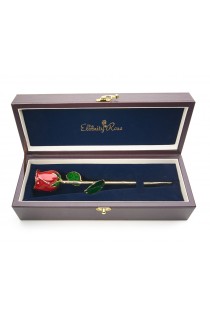 Red Tight Bud Glazed Rose Trimmed with 24K Gold 12"