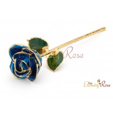 dark blue rose