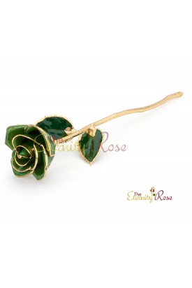 dark green rose