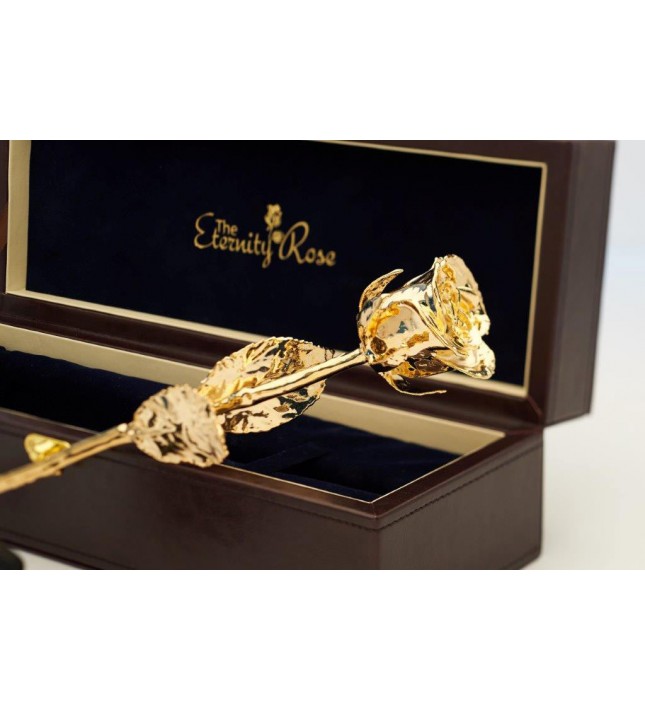 24k Gold Dipped Natural Rose 11.5