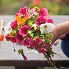 Honour fathers day - bring flowers to his gravesite