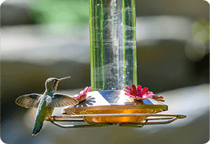 Wedding gift idea for father - bird feeder